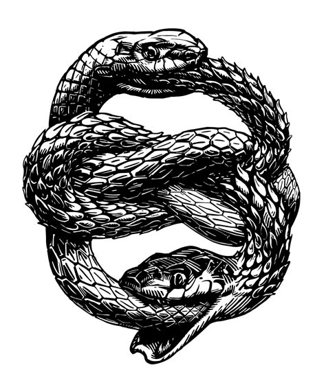 Ouroboros Snake Symbol: The Meaning Behind This .